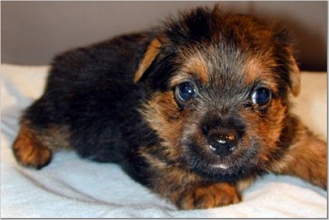 boy5weeks.jpg