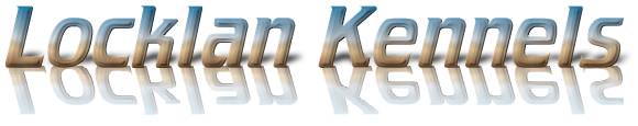 logo.jpg